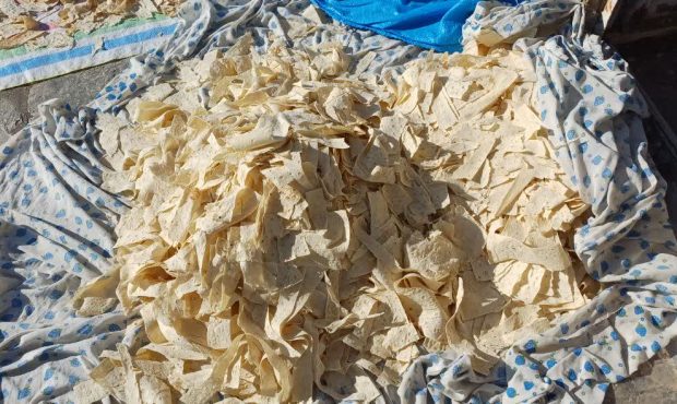 سرنوشت نان یارانهای مردم به خوراک دام ختم شد! سرنوشت نان یارانهای مردم به خوراک دام ختم شد!