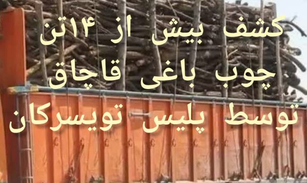 انهدام ۲ محموله قاچاق در تویسرکان؛ کشف ۱۴ تن چوب و ۱۶ تن سنگ سیلیس