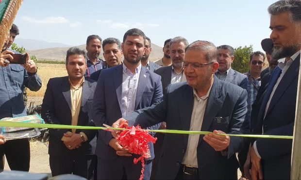 افتتاح گلخانه ۶۶۰۰ مترمربعی در تویسرکان با سرمایهگذاری ۱۰ میلیارد تومانی بخش خصوصی افتتاح گلخانه ۶۶۰۰ مترمربعی در تویسرکان با سرمایهگذاری ۱۰ میلیارد تومانی بخش خصوصی